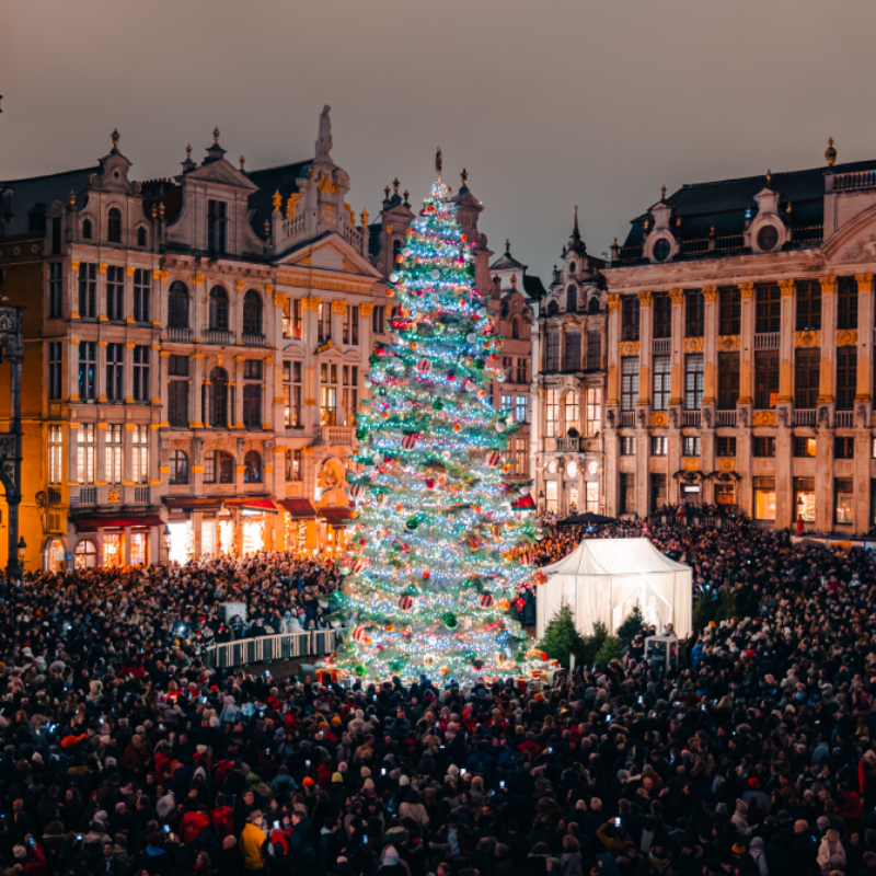 BRUSSELS GRAND PLACE TREE / NON-EXHAUSTIVE ATLAS OF THE WORLD’S IMAGINARIES / THE VOTOS